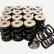 Load image into Gallery viewer, GSC Power Division Dual Spring Set and Titanium Retainer fits 1992-2001 Acura Integra GS-R / 1997-1998,2000-2001 Acura Int...