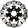 Load image into Gallery viewer, Galfer Brakes Skull Rear Rotor - Floating Mount - Side View