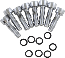 Load image into Gallery viewer, Gardner-Westcott Turn Signal Lens Bolt Kit P-61-13 - Main Product View