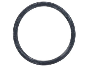 German Water Pump Housing O-Ring 9A700827400