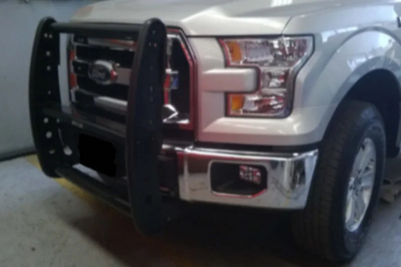 Go Rhino 15-17 Ford F-150 3000 Series StepGuard - Black (Center Grille Guard Only) - Back View