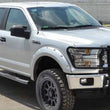 Load image into Gallery viewer, Go Rhino 15-17 Ford F-150 (Excl. ACC Models) 3000 Series StepGuard Center Grille + Brsh Grd - Chrome - Back View