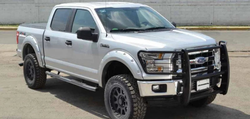 Go Rhino 15-17 Ford F-150 (Excl. ACC Models) 3000 Series StepGuard Center Grille + Brsh Grd - Chrome - Back View