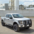Load image into Gallery viewer, Go Rhino 17-19 Ford F-250/F-350 Super Duty 3000 Series StepGuard - Black - Back View