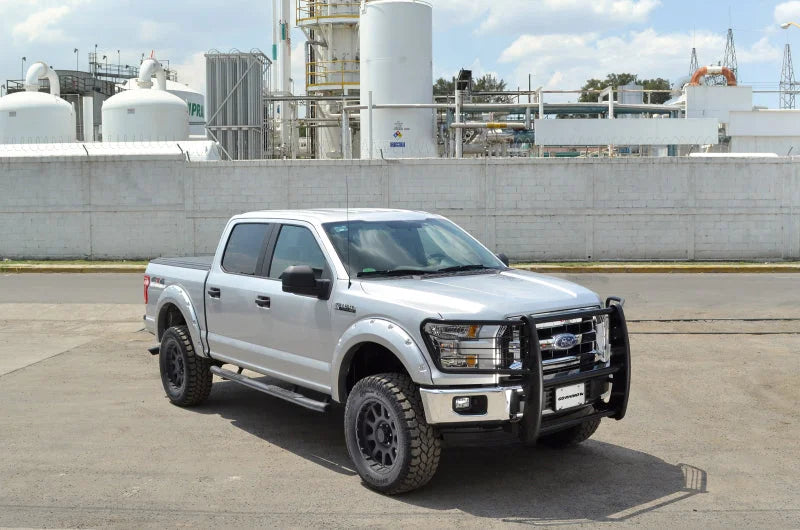 Go Rhino 17-19 Ford F-250/F-350 Super Duty 3000 Series StepGuard - Black - Back View