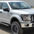 Load image into Gallery viewer, Go Rhino 15-17 Ford F-150 (Excl. ACC Models) 3000 Series StepGuard Center Grille + Brsh Grd - Chrome - Back View
