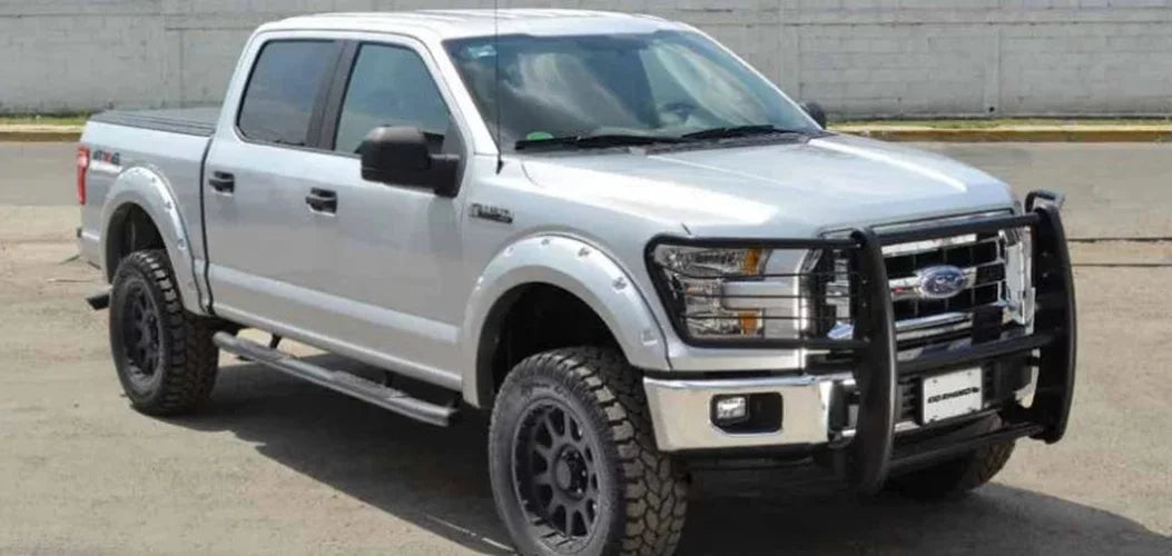 Go Rhino 15-17 Ford F-150 (Excl. ACC Models) 3000 Series StepGuard Center Grille + Brsh Grd - Chrome - Back View