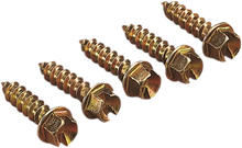 Load image into Gallery viewer, Gold Screws Ice Screws - Gold - 1" - 250 - Main Product View