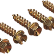 Load image into Gallery viewer, Gold Screws Ice Screws - Gold - 3/8" - 250 12500643 - Main Product View