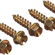 Load image into Gallery viewer, Gold Screws Ice Screws - Gold - 3/8" - 250 12500643 - Main Product View