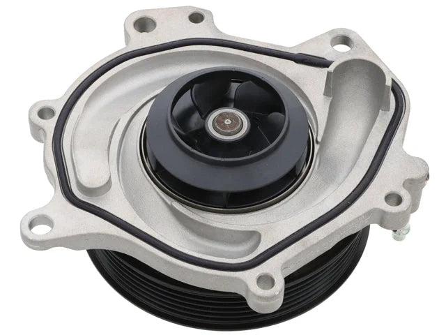 Graf Water Pump - Side View