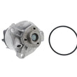 Load image into Gallery viewer, Graf Water Pump PA617 - Main Product View