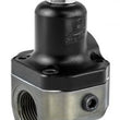Load image into Gallery viewer, Grams Performance 100 Micron Replacement Filter Element - Additional View 5