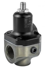 Load image into Gallery viewer, Grams Performance 100 Micron Replacement Filter Element - Additional View 5