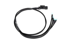 Load image into Gallery viewer, GrimmSpeed 2015+ WRX/STI Hella Horn Wiring Harness - Main Product View