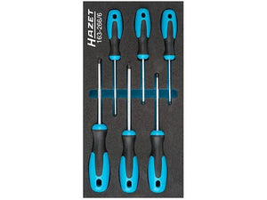 HAZET-WERK Screwdriver Set 163-266/6