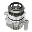 Load image into Gallery viewer, HEPU Water Pump P587