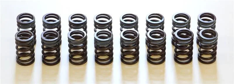 HKS 91-00 Infiniti G20 SR20DET Outer Valve Spring Set - Main Product View