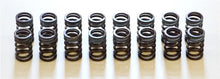 Load image into Gallery viewer, HKS 91-00 Infiniti G20 SR20DET Outer Valve Spring Set - Main Product View