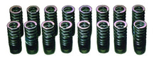 Load image into Gallery viewer, HKS 91-00 Infiniti G20 SR20DET Outer Valve Spring Set - Side View