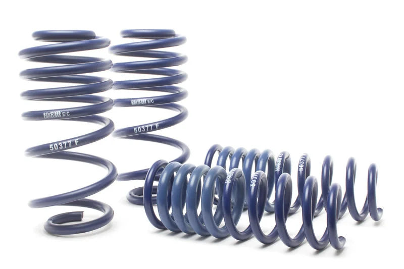 H&R 00-03 Audi S4 (AWD) Sport Spring - Back View