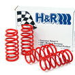 Load image into Gallery viewer, H&amp;R 00-09 Honda S2000 Sport Spring - Main Product View