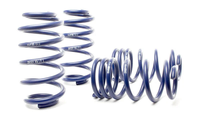 H&R 02-05 Volkswagen Passat W8 Sedan/Wagon Sport Spring - Back View