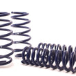 Load image into Gallery viewer, H&amp;R 05-10 Chrysler 300 C LX Sport Spring (w/o Self-Leveling/Non AWD)