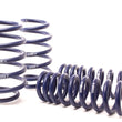 Load image into Gallery viewer, H&amp;R 06-10 Dodge Charger RT/SE/SXT V6/V8 (2WD) Sport Spring (w/Nivomat Only) - Back View