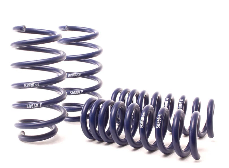 H&R 06-10 Dodge Charger RT/SE/SXT V6/V8 (2WD) Sport Spring (w/Nivomat Only) - Back View