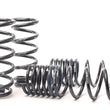Load image into Gallery viewer, H&amp;R 08-12 Honda Accord 4 Door 6 Cyl Sport Spring