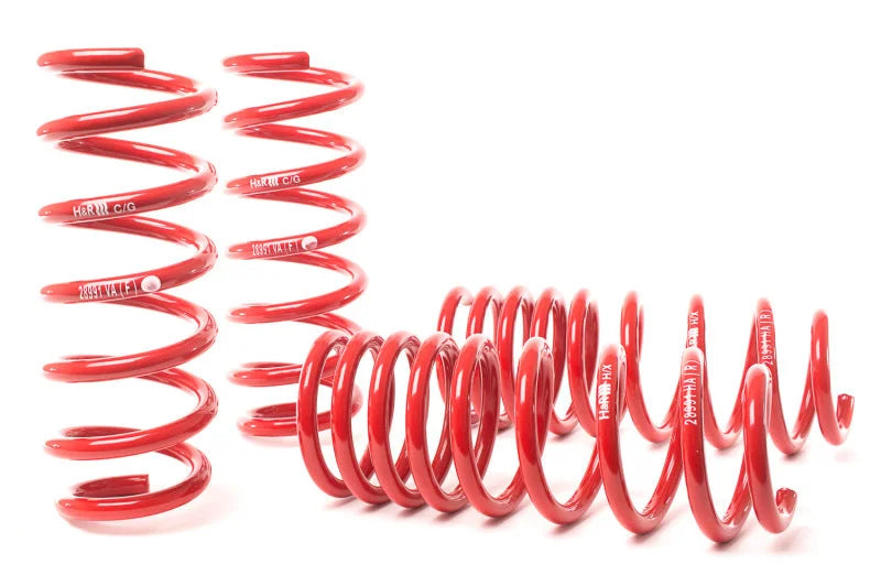 H&R 09-15 BMW 750i F01 Sport Spring (w/o Self-Leveling) - Back View
