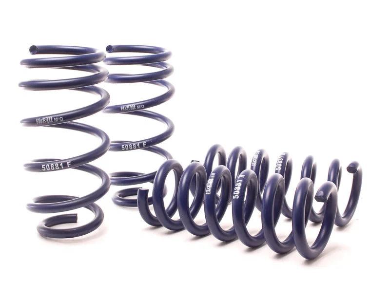 H&R 11-14 Dodge Charger RT (2WD) RT MAX V8 Sport Spring - Back View