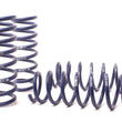 Load image into Gallery viewer, H&amp;R 11-16 BMW 550i xDrive F10 Sport Spring