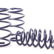 Load image into Gallery viewer, H&amp;R 11-17 BMW X3 F25 Sport Spring - Main Product View