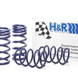 Load image into Gallery viewer, H&amp;R 15-22 Ford Mustang V6/V8/2.3L EcoBoost Sport Spring (w/o MagneRide) - Main Product View