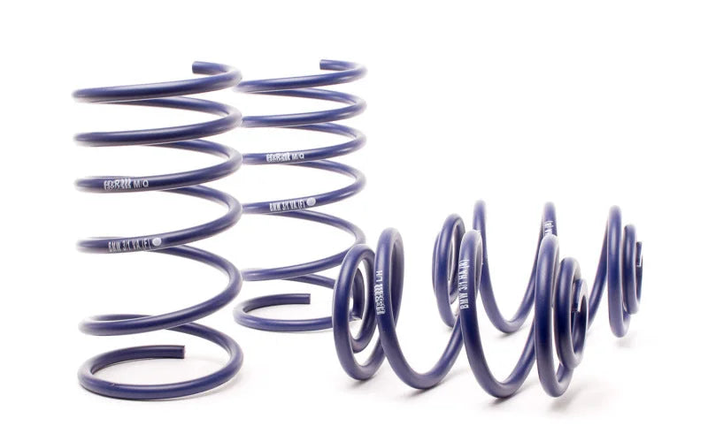 H&R 84-85 BMW 318i E30 Sport Spring (Non Cabrio) - Back View