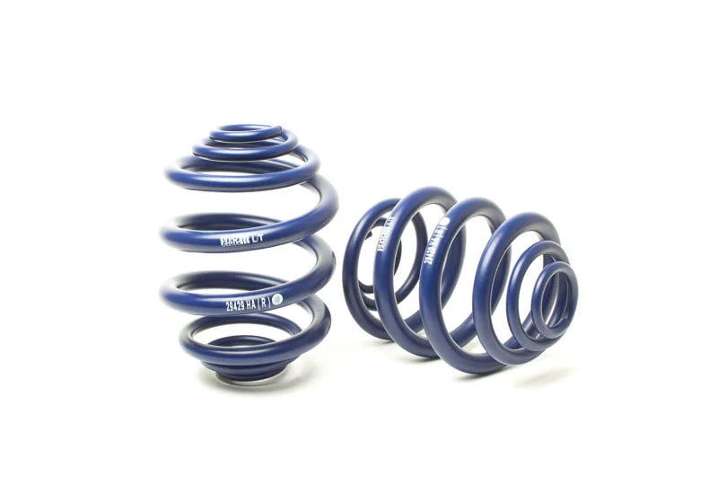 H&R 94-03 Volkswagen Eurovan T4 Sport Spring - Back View