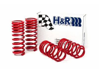 H&R 94-95 Ford Mustang/Mustang Cobra V8 Race Spring - Main Product View