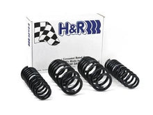 Load image into Gallery viewer, H&amp;R 96-01 Audi A4 Quattro (AWD) B5 Sport Spring - Main Product View