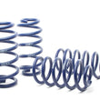 Load image into Gallery viewer, H&amp;R Quattro (AWD) 4B Race Spring fits 1998-2004 Audi A6 Quattro Avant / Audi A6 - Main Product View
