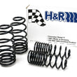 Load image into Gallery viewer, H&amp;R Sedan VR6 Sport Spring fits 1993 Volkswagen Passat GL / 1993-1994 Volkswagen Passat Glx - Main Product View
