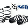 Load image into Gallery viewer, H&amp;R V6/V8 Sport Spring fits 2005-2009 Ford Mustang - Main Product View