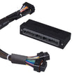 Load image into Gallery viewer, Haltech Elite 1000-2500 Plug-n-Play Adaptor Harness
