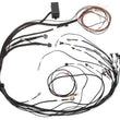 Load image into Gallery viewer, Haltech Elite 1000 Terminated Harness