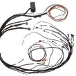 Load image into Gallery viewer, Haltech Elite 1000 Terminated Harness