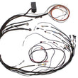 Load image into Gallery viewer, Haltech Elite 1000 Terminated Harness