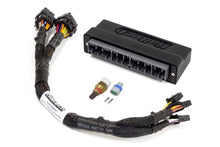 Load image into Gallery viewer, Haltech Elite 1000/1500 Plug-n-Play Adaptor Harness