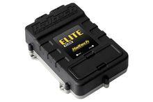 Load image into Gallery viewer, Haltech Elite 1500 Adaptor Harness ECU Kit - Side View