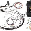 Load image into Gallery viewer, Haltech Elite 1500 Terminated Harness ECU Kit w/ Square EV1 Injector Connectors
